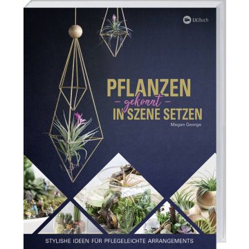 Pflanzen gekonnt in Szene setzen