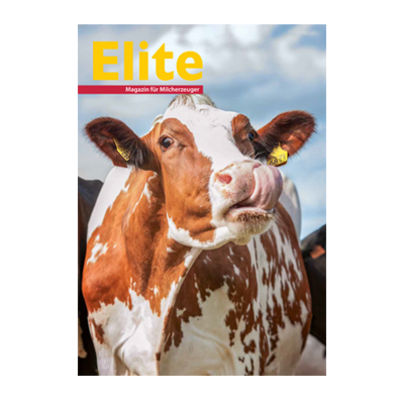 Elite