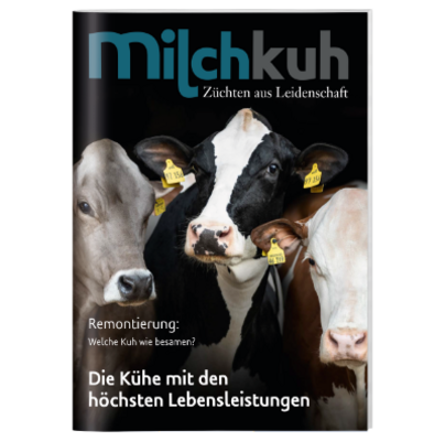 milchkuh