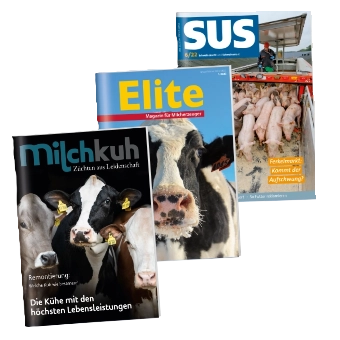 Titelbilder der Magazine milchkuh, Elite, SUS